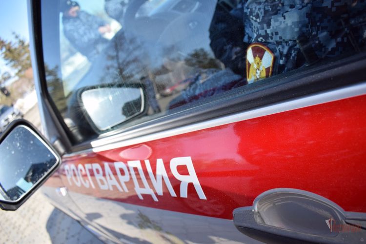 В сетевом магазине росгвардейцы задержали мужчину, укравшего продукты и алкоголь