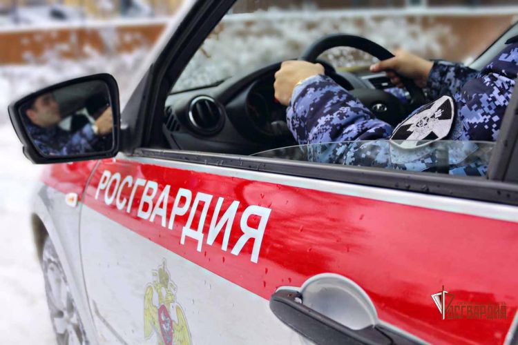 Орловские росгвардейцы задержали ранее судимого хулигана