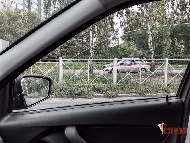 Орловские росгвардейцы пресекли более пятнадцати хищений