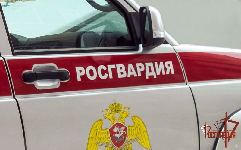 Сотрудники Росгвардии задержали четверых подозреваемых в хищениях орловцев
