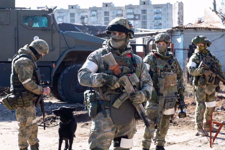 Росгвардейцы разминировали дорогу и ликвидировали схрон с боеприпасами в ДНР (видео)