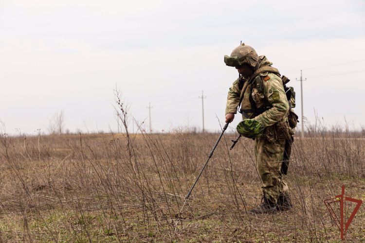 Росгвардейцы разминировали дорогу и ликвидировали схрон с боеприпасами в ДНР (видео)