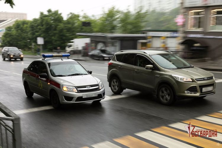 Сотрудники Росгвардии задержали орловца, разбившего входную дверь гипермаркета