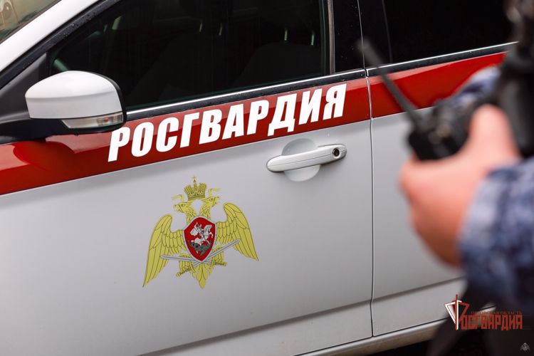 В выходные сотрудники Росгвардии пресекли хищения и хулиганство на охраняемых объектах Орла