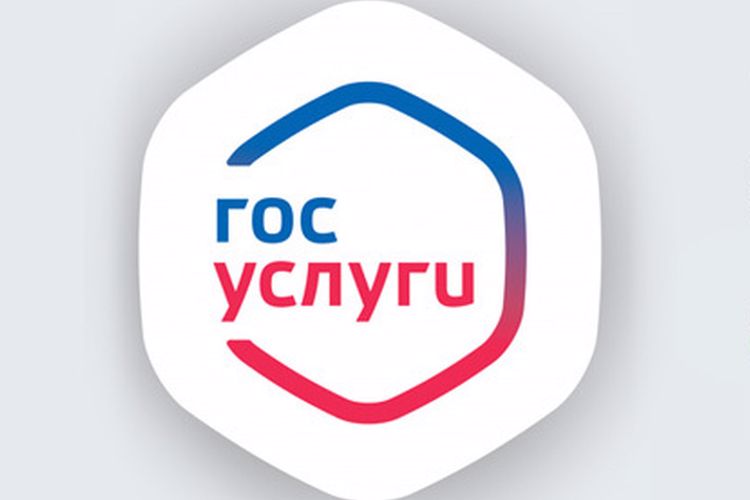 Росгвардейцы напомнили орловцам о преимуществах использования госуслуг в электронном виде