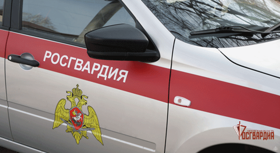 Наряд Росгвардии задержал неоднократно судимого орловца
