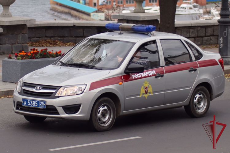 Орловцы захотели получить алкоголь бесплатно и были задержаны росгвардейцами