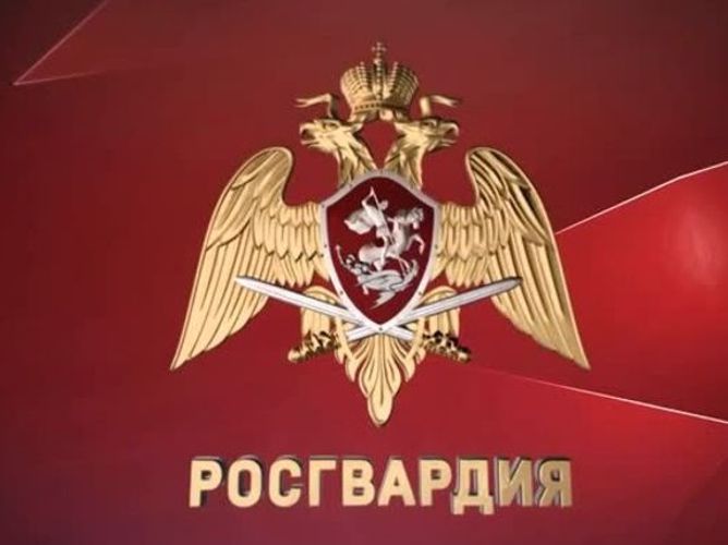 Росгвардия напоминает орловцам о действиях в случае утраты или хищения гражданского оружия