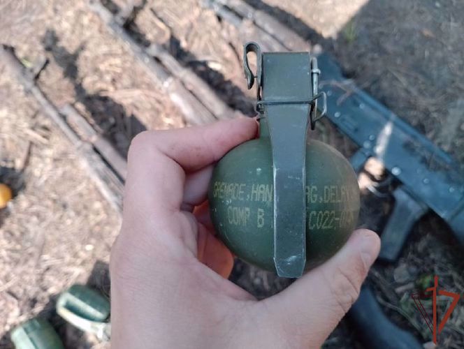 Росгвардейцы пресекли подготовку диверсий в лесном массиве ЛНР