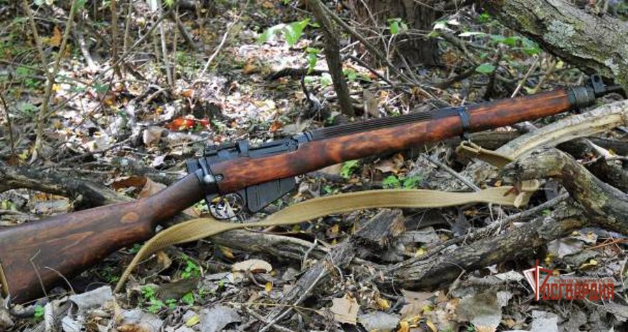 Грибники нашли в лесу ружье и сообщили росгвардейцам