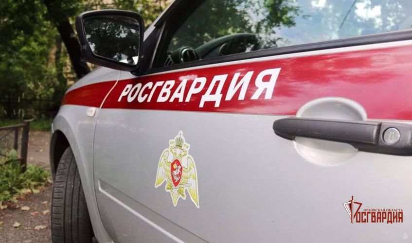Сотрудники Росгвардии задержали орловца, разбившего ногой дверь в торговом центре