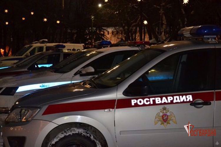В Орле сотрудники Росгвардии задержали прохожего, устроившего погром в аптеке и цветочном магазине