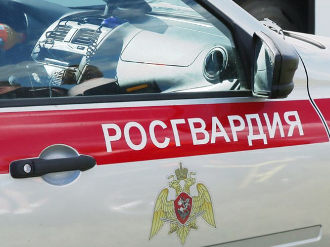 За неделю 60 владельцев оружия открыли двери сотрудникам Росгвардии