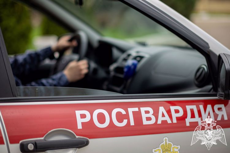 В Орле росгвардейцы предупредили факт управления автомобилем в нетрезвом виде