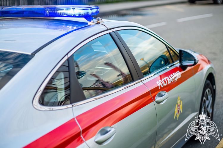 Орловские росгвардейцы задержали подозреваемых в умышленной порче автомобилей