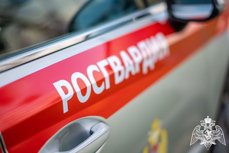 Росгвардейцы задержали орловца, пытавшегося посетить пивбар в нерабочее время