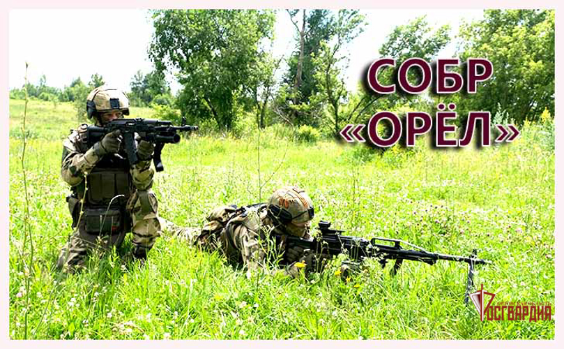 Сотрудники СОБР «Орёл» отмечают профессиональный праздник  