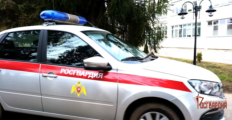 Более 130 раз за неделю группа задержания Росгвардии выезжала по тревожному сигналу