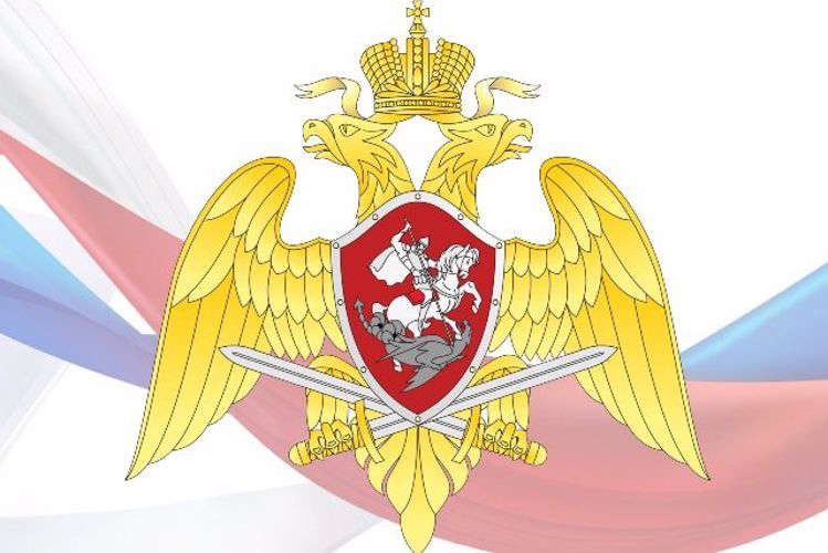 За неделю орловские росгвардейцы проверили порядка 200 владельцев оружия