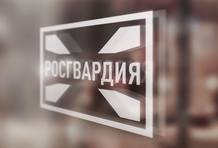 Орловчанка сдала ружье и боеприпасы в Росгвардию