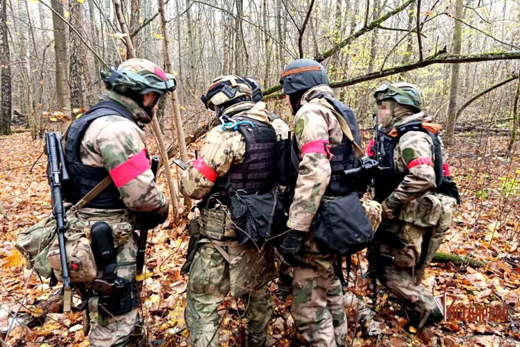 В ходе полевого занятия спецподразделения Росгвардии отработали задачи по проведению поисковых мероприятий в лесистой местности