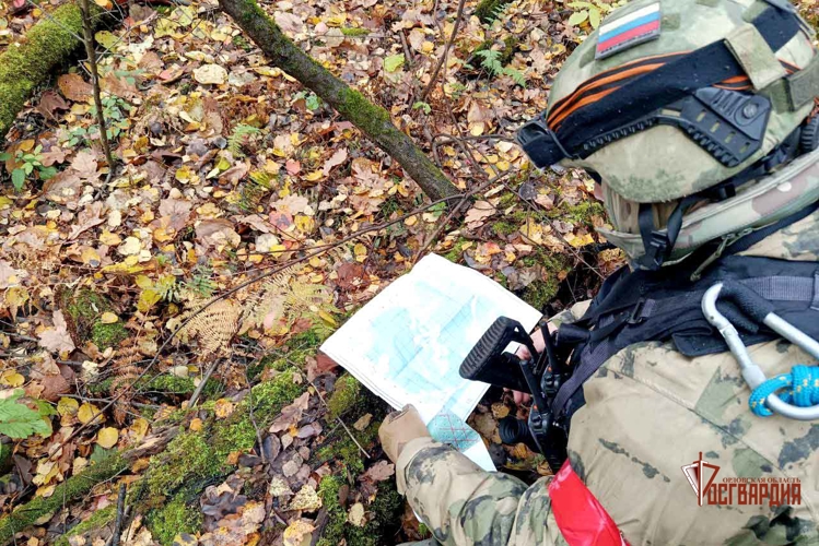 В ходе полевого занятия спецподразделения Росгвардии отработали задачи по проведению поисковых мероприятий в лесистой местности