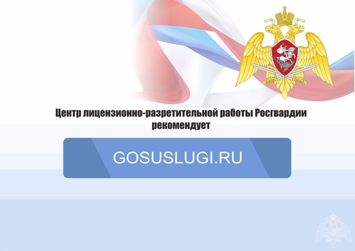 ЦЛРР Управления Росгвардии по Орловской области информирует граждан о преимуществах получения государственных услуг через единый портал