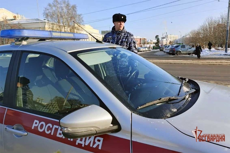 За неделю сотрудники Росгвардии задержали 17 граждан, подозреваемых в совершении противоправных действий