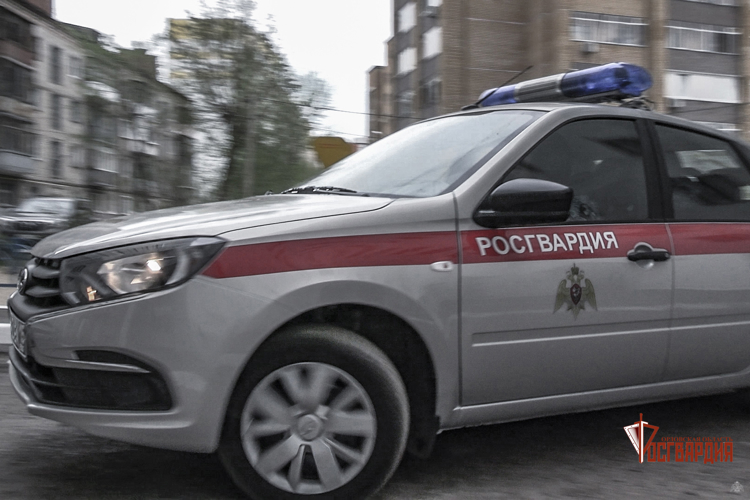 Мценские росгвардейцы пресекли дебош в местном кафе